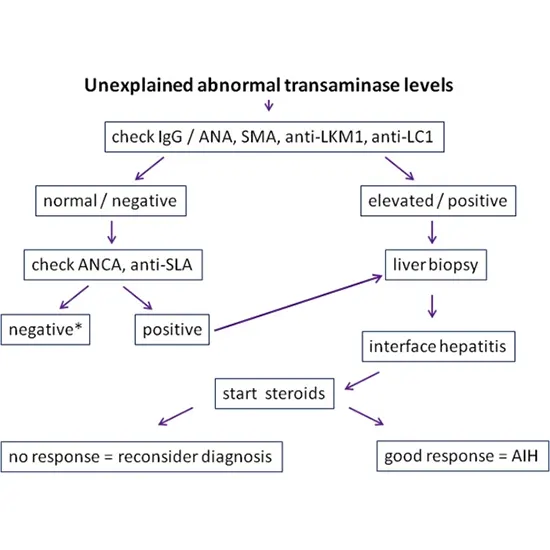 Autoimmune Hepatitis Panel